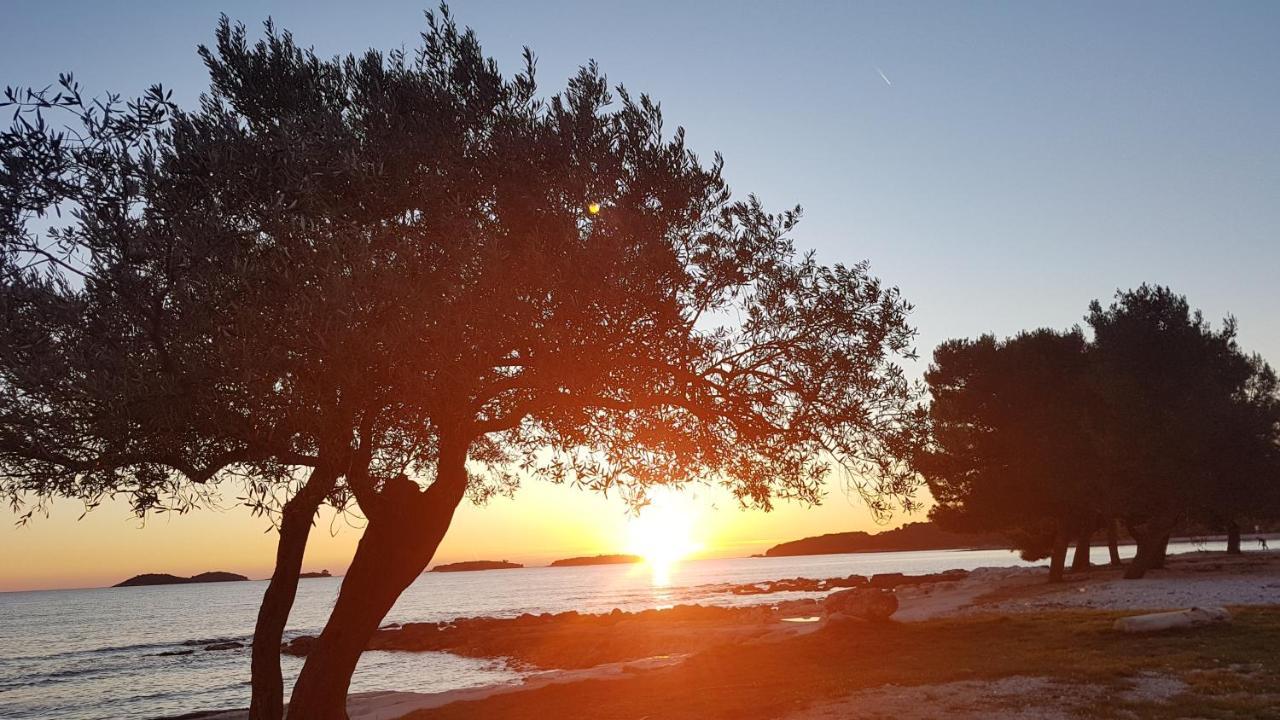 Apartments Alea Rovinj Kültér fotó